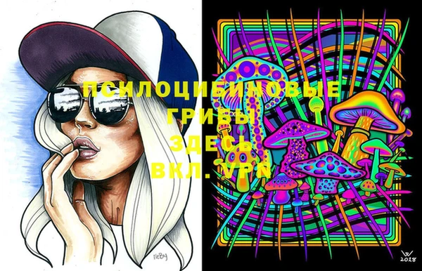 хмурый Дмитриев