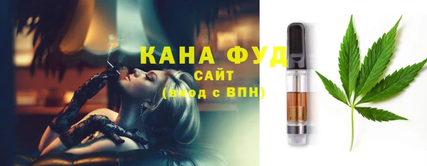 хмурый Дмитриев