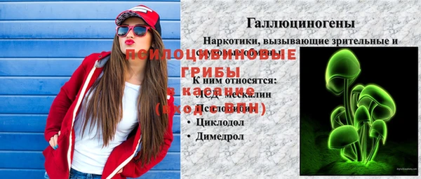 хмурый Дмитриев