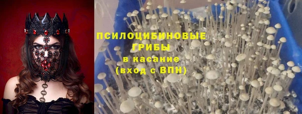 хмурый Дмитриев