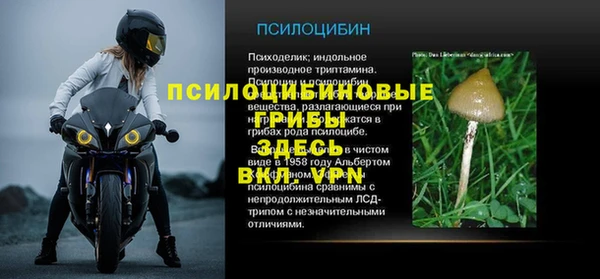соль курить ск Дмитров