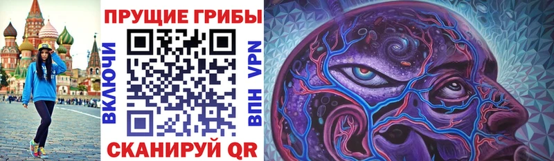 Псилоцибиновые грибы мицелий  купить закладку  Ставрополь 